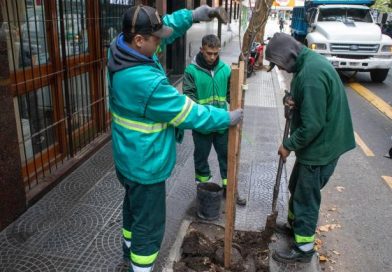 Arrancó la plantación anual de árboles en la Ciudad